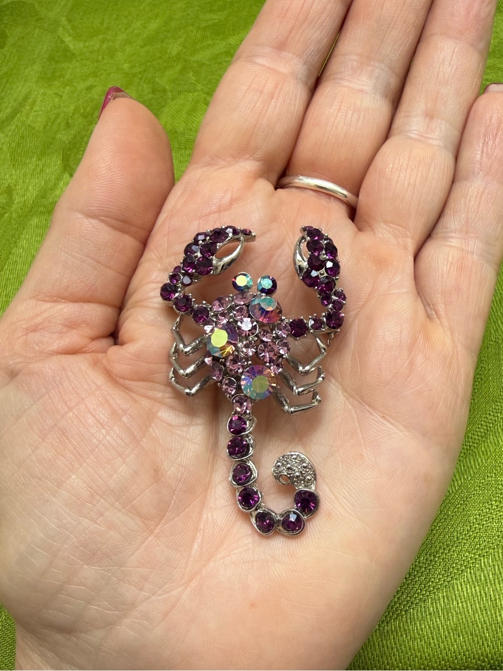 Scorpion Brooch